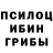 Псилоцибиновые грибы MAGIC MUSHROOMS The AJ