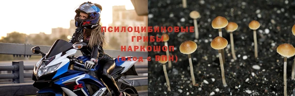 дурь Кукмор