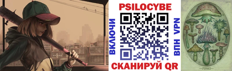 купить   MEGA ссылка  Галлюциногенные грибы мицелий  Курлово 